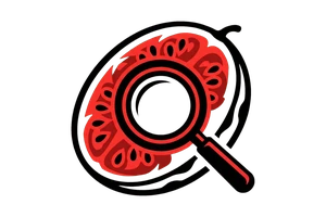 又黄又湿免费高清视频 - 吃瓜社Logo